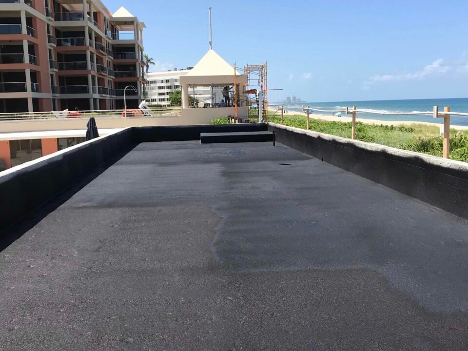 untitled design 2026 01 16t074636.203