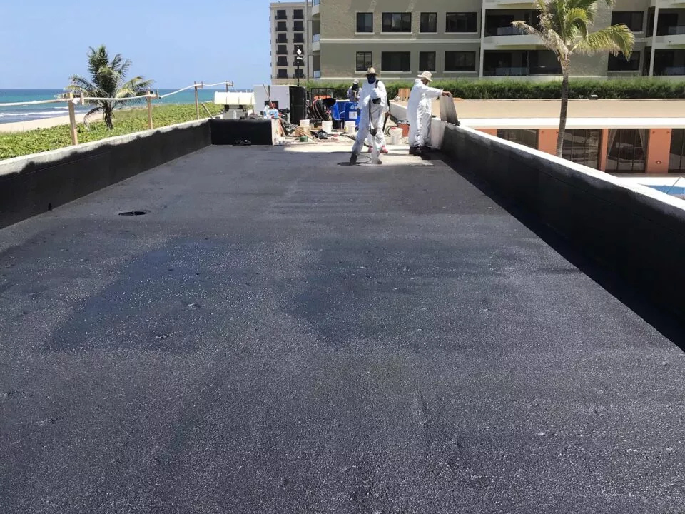 untitled design 2026 01 16t074650.560