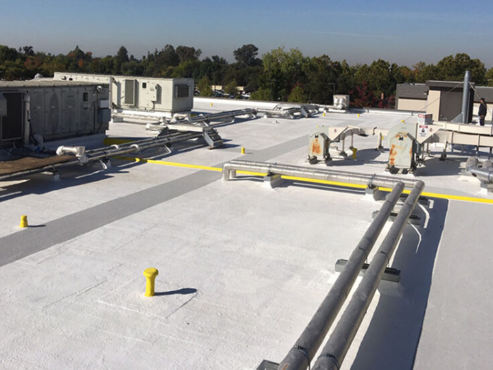 untitled design 2026 01 16t110759.198