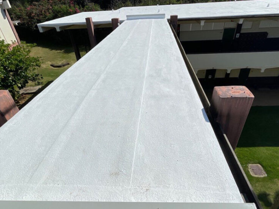 untitled design 2026 01 16t110932.798