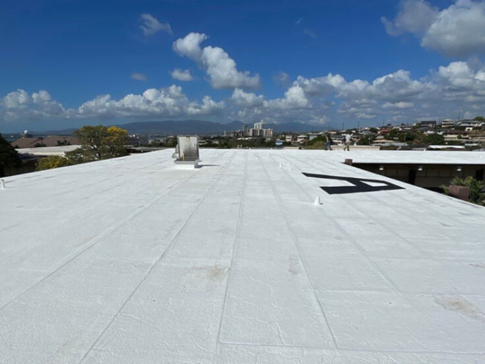 untitled design 2026 01 16t111035.597