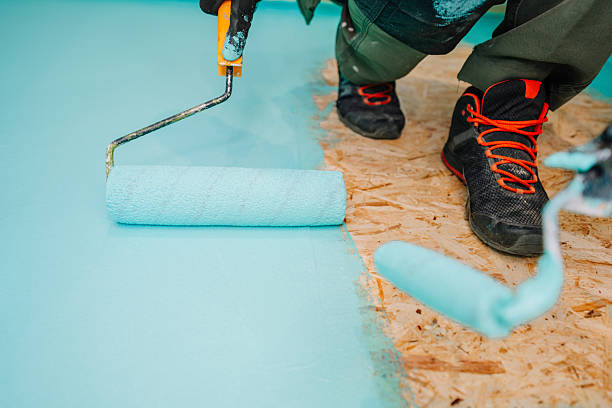 istockphoto 2212578810 612x612